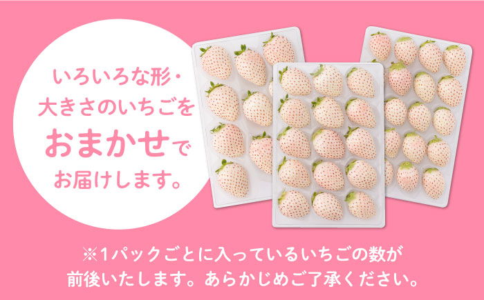 希少な白いちご、さっぱりとした甘い味わい!