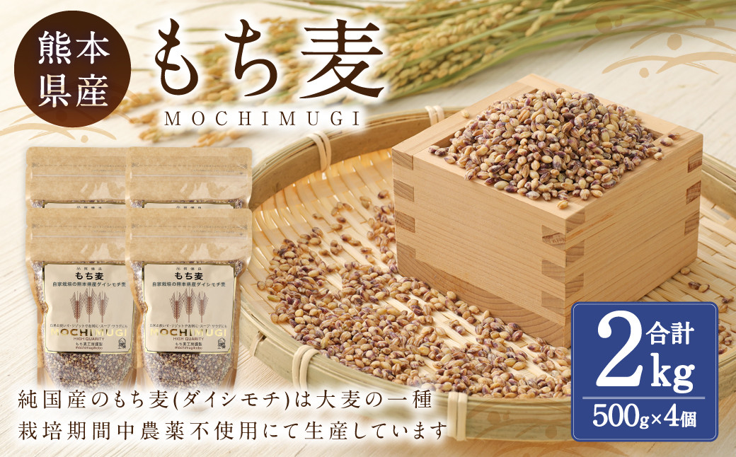 もち麦 計2kg(500g×4) 水俣市 もち麦工房