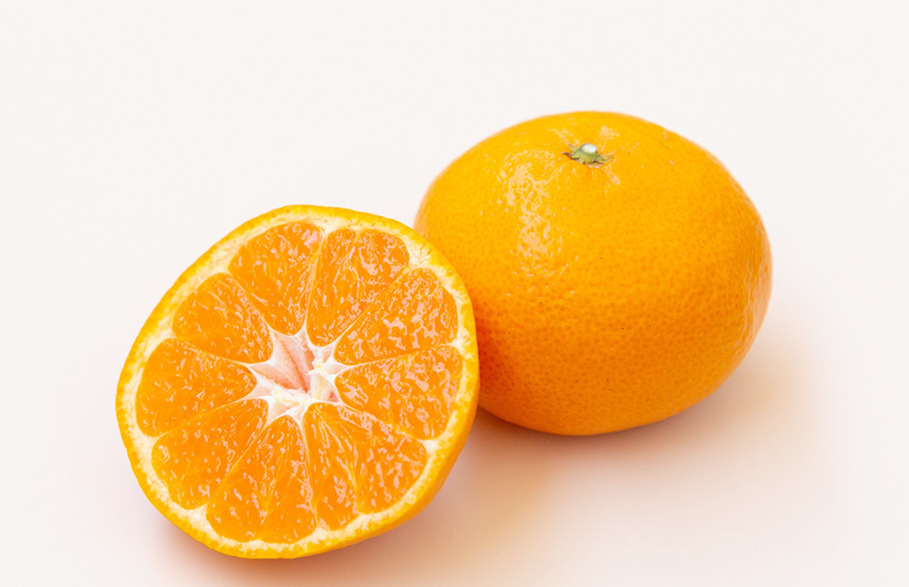 【年6回定期便】熊本県産フルーツA(奇数月発送)	