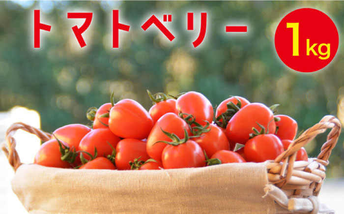 トマト ミニトマト 野菜 やさい 旬の野菜 新鮮な野菜 地元産野菜 野菜セット 旬のやさい 新鮮なやさい 地元産やさい