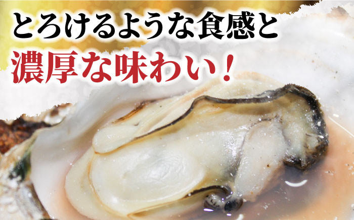 築上町特産品　冬の味覚「豊前海一粒かき」