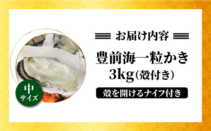 築上町特産品　冬の味覚「豊前海一粒かき」
