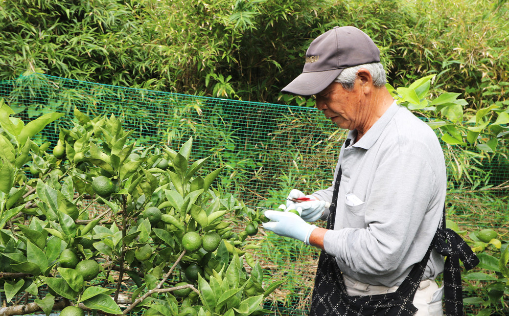 刈込園芸では、化学肥料や化学合成農薬の使用を通常の半分以下で育成しております。