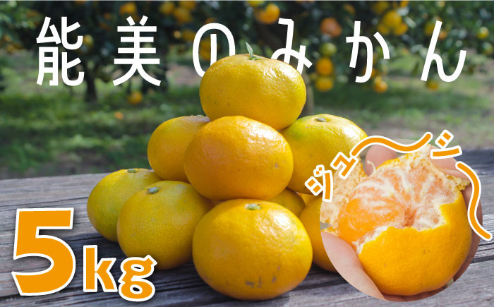  みかん ミカン mikan 蜜柑 果物 くだもの フルーツ 柑橘 かんきつ 小玉 濃厚 甘い 甘味 ギフト 人気 先行予約