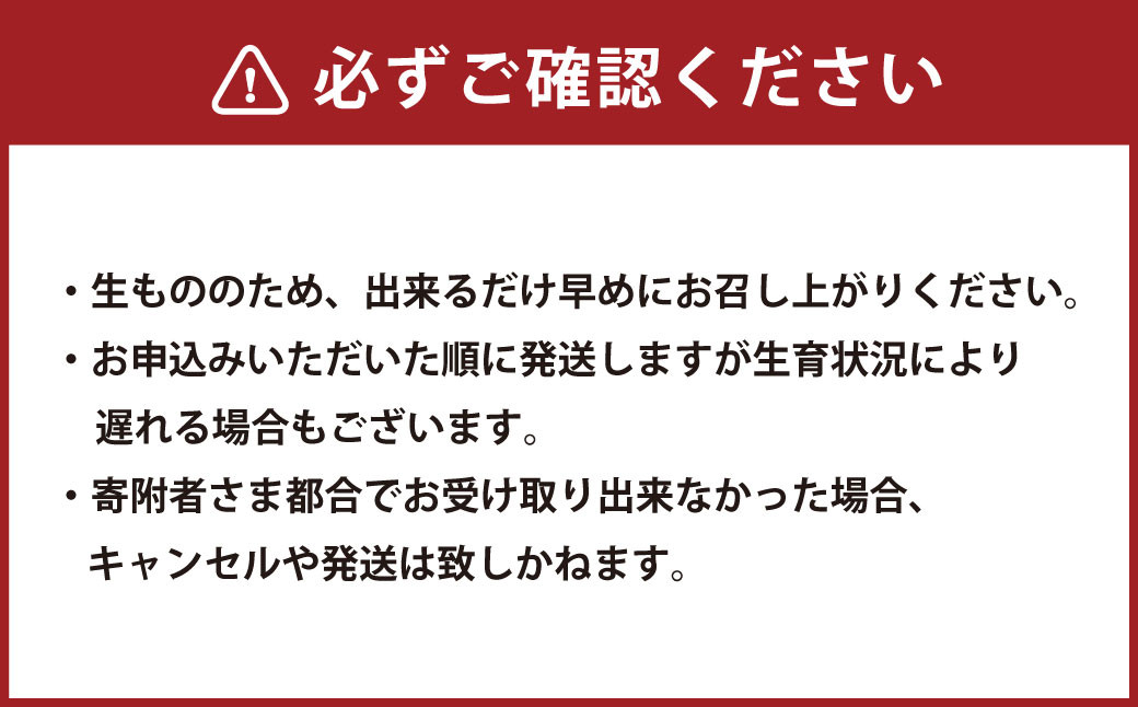 【訳あり】完熟あまおう 4パック いちご 苺 イチゴ フルーツ 果物 くだもの あまおう ギフト 冷蔵 苅田町