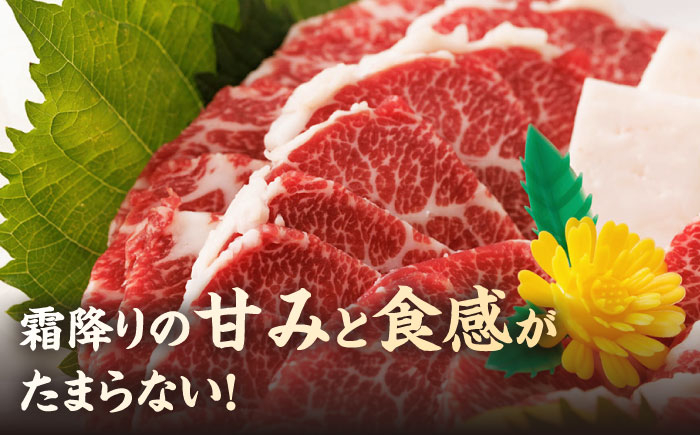 特選霜降り 馬刺し 中トロ 600g 馬肉 桜肉 便利 小分け タレ付き おつまみ 晩酌 冷凍 刺身 九州 熊本 山鹿 送料無料