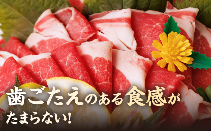 馬刺し ヤング 馬刺し 馬肉 桜肉 馬 肉 便利 小分け 6パック タレ付き 歯ごたえ 冷凍 刺身 九州 熊本県 送料無料 