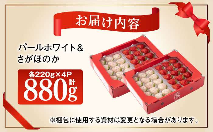 希少な白いちごとさがほのかを食べ比べ！