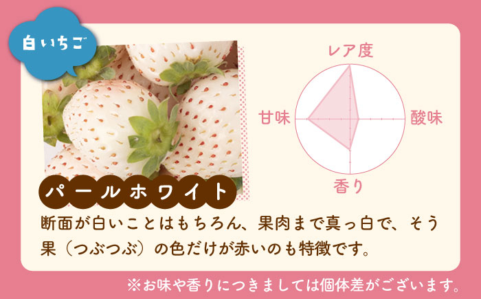 希少な白いちごとさがほのかを食べ比べ！