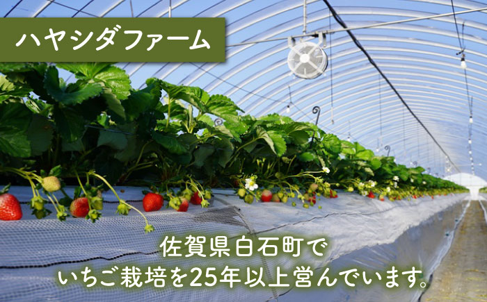 希少な白いちごとさがほのかを食べ比べ！