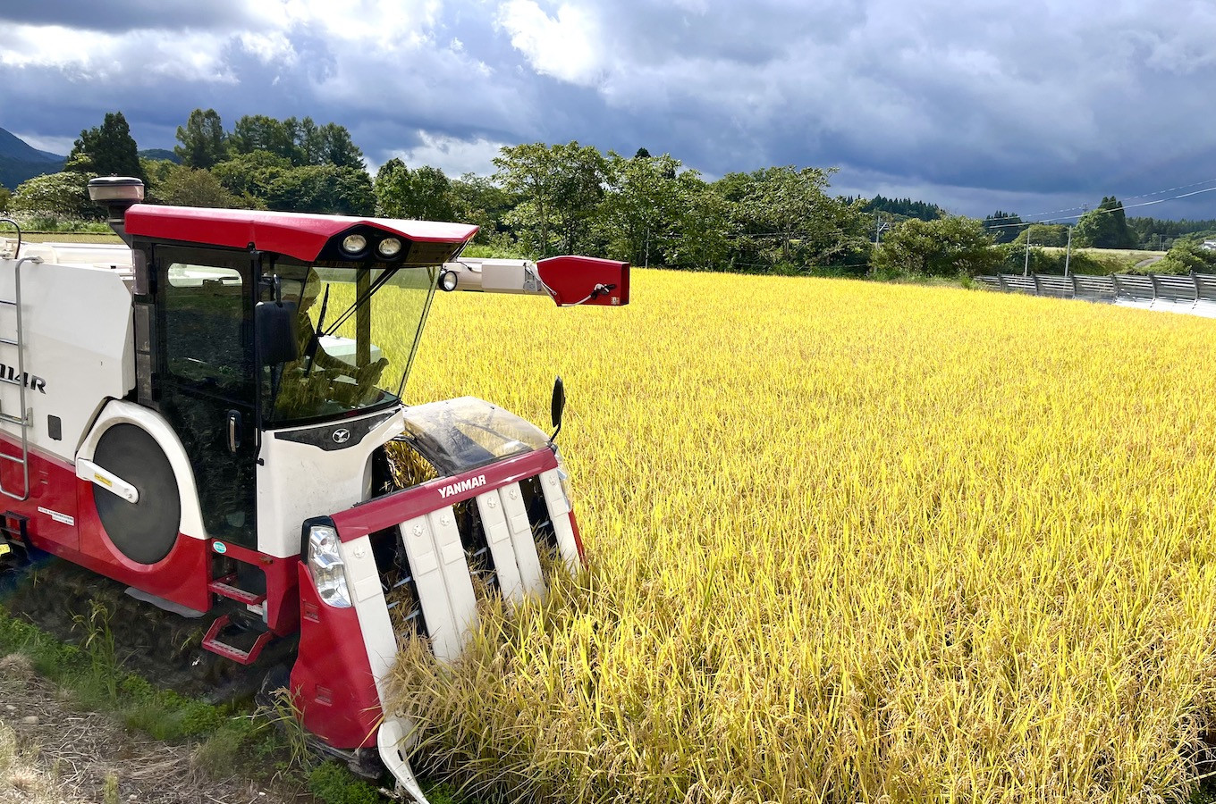 手間暇をかけ丁寧に育てたお米をお届けします