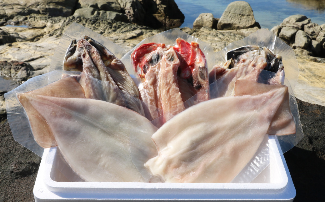 食べ応えたっぷりの大ぶりひもの３枚＋いか一夜干し２枚。バラエティ豊かな４種５枚をお楽しみください。