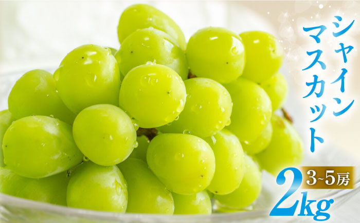 シャインマスカット 