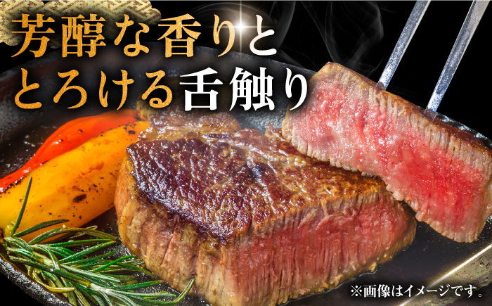 ハンバーグ 人気 和牛  長崎和牛 希少 柔らかい やわらかい 贈り物 ギフト 