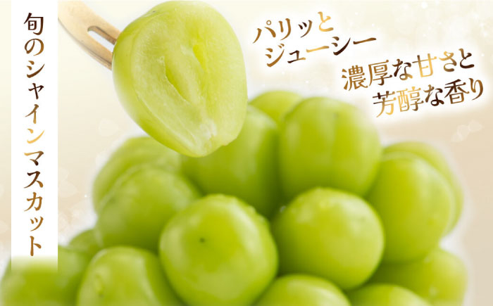 シャインマスカット 