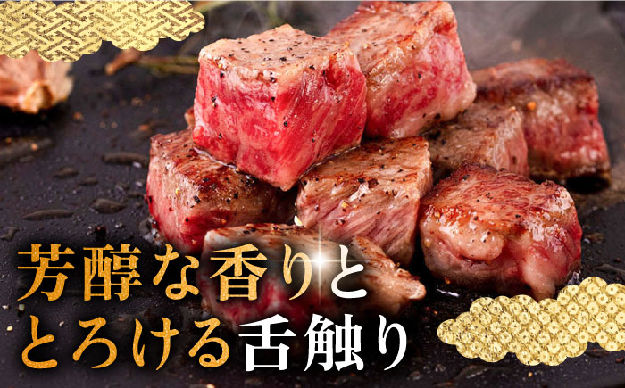 ハンバーグ 人気 和牛  長崎和牛 希少 柔らかい やわらかい 贈り物 ギフト