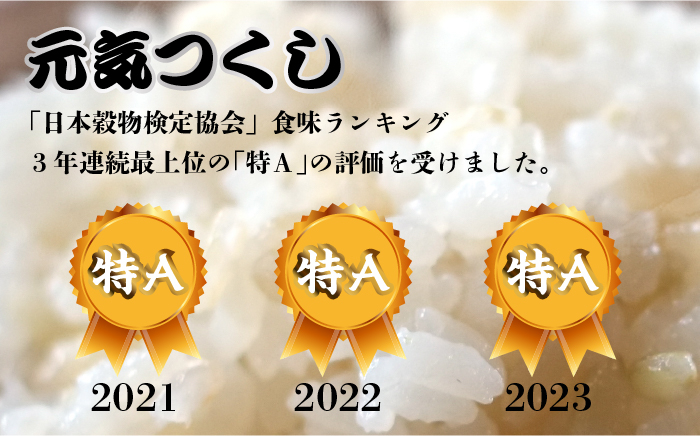 米 特A 玄米 ご飯 ごはん こめ コメ おにぎり 新鮮 国産 九州 九州産 福岡県産 元気つくし