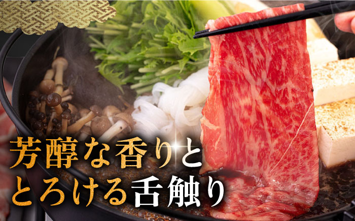 ハンバーグ 人気 和牛  長崎和牛 希少 柔らかい やわらかい 贈り物 ギフト