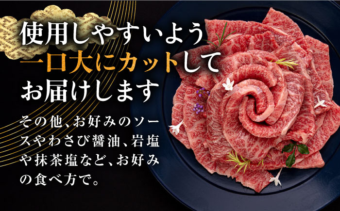 ハンバーグ 人気 和牛  長崎和牛 希少 柔らかい やわらかい 贈り物 ギフト