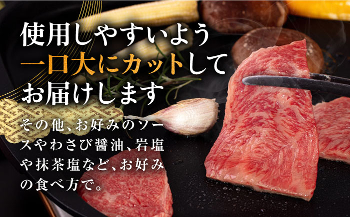 ハンバーグ 人気 和牛  長崎和牛 希少 柔らかい やわらかい 贈り物 ギフト