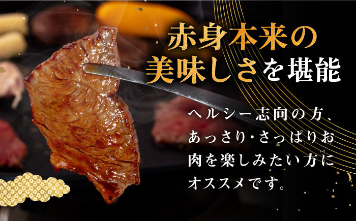 ハンバーグ 人気 和牛  長崎和牛 希少 柔らかい やわらかい 贈り物 ギフト
