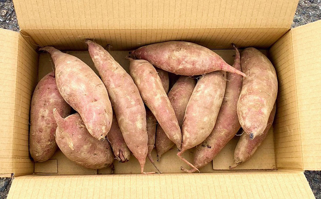 熊本県産 熟成高糖度 紅はるか 熟成生芋 5kg