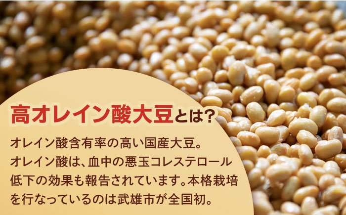 【6回定期便】からだにうれしい 米味噌 1kg（500g×2個）高オレイン酸大豆使用 なるせみそ /角味噌醤油 [UAX011]