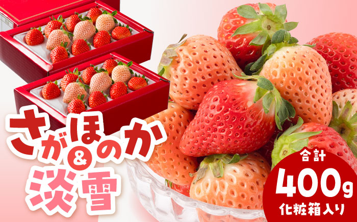 赤と白のイチゴの食べ比べセット！贈答・お土産にピッタリ。