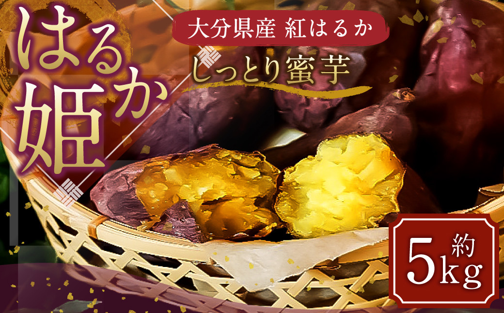 はるか姫 約5kg