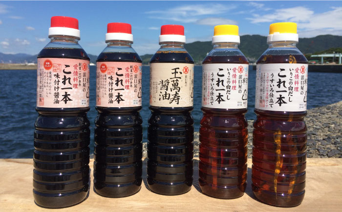 【全3回定期便】忙しいあなたに!これ1本で美味しい味付け!味付け醤油の満足セット(特級醤油/白だし)