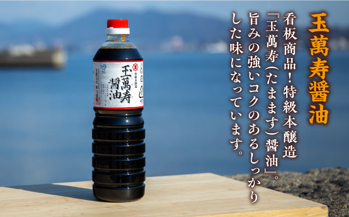 【全12回定期便】一度使うと手放せない！リピーター続出のお醤油堪能セット 1L×3本 料理  うす塩 健康 濃口 和食 江田島