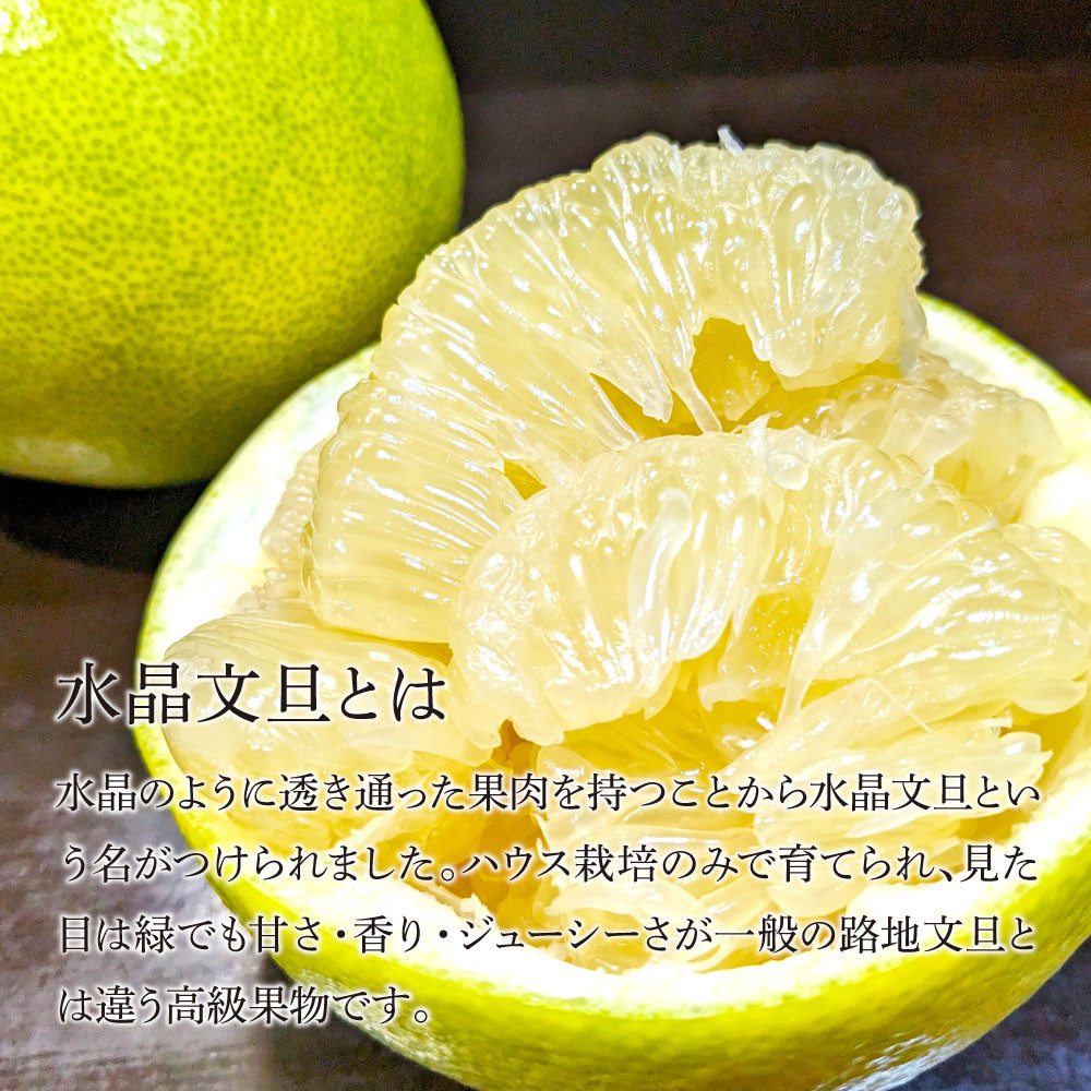 土佐市産　水晶文旦　約3キロ（５～６玉）