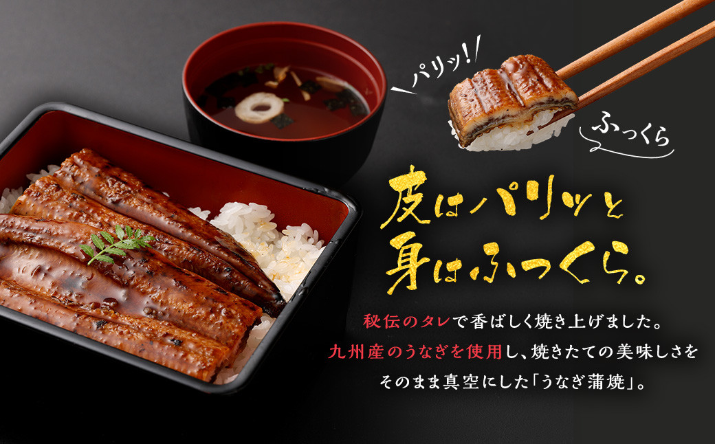 B-420 九州産うなぎ蒲焼き 4尾 合計約480g(約120g×4尾) タレ付