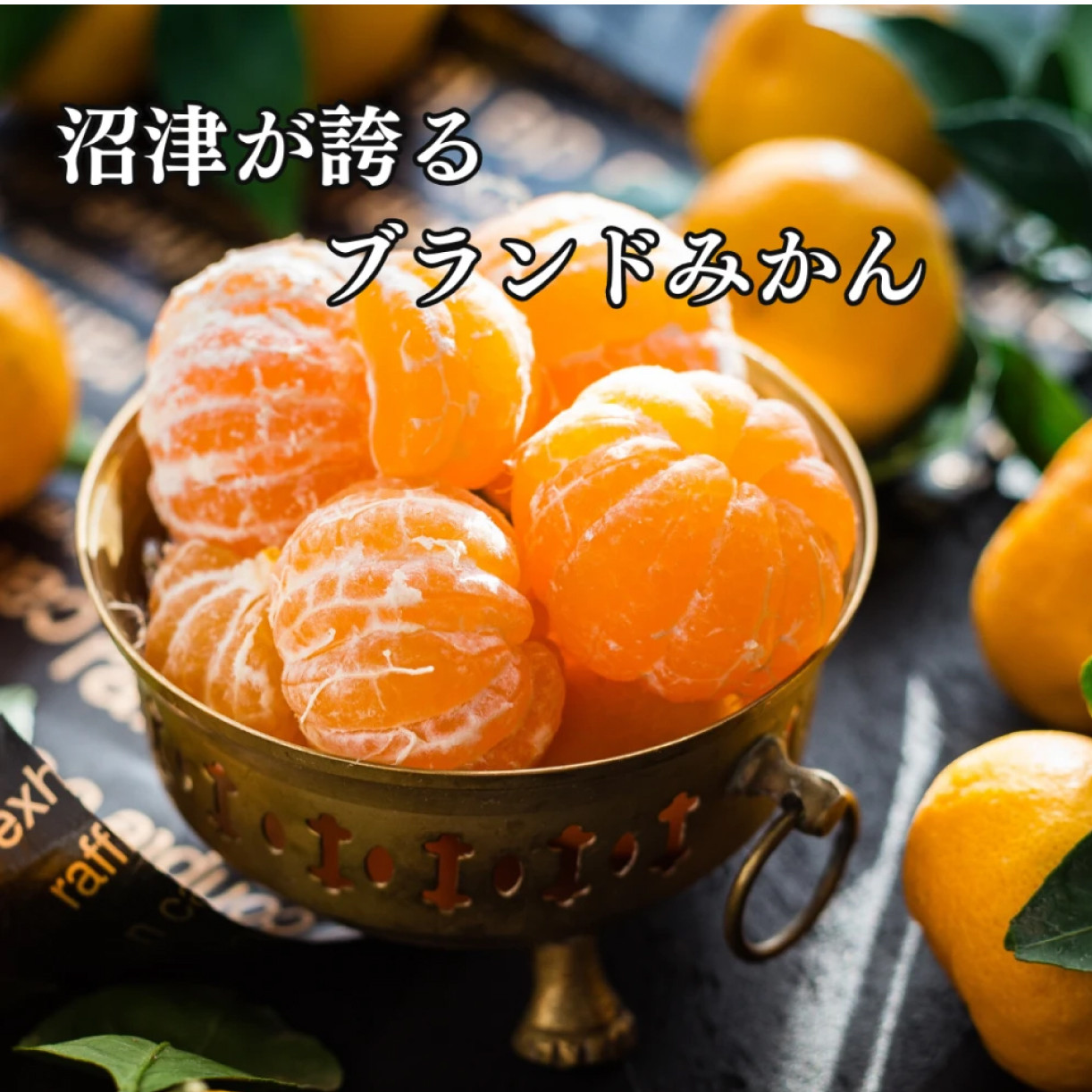 小さいお子さんに大人気！