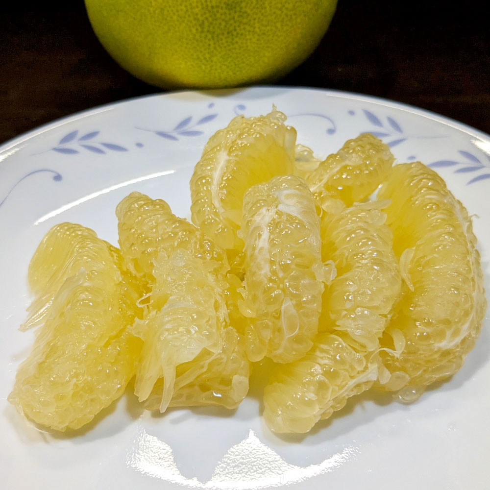 土佐市産　水晶文旦　約3キロ（５～６玉）