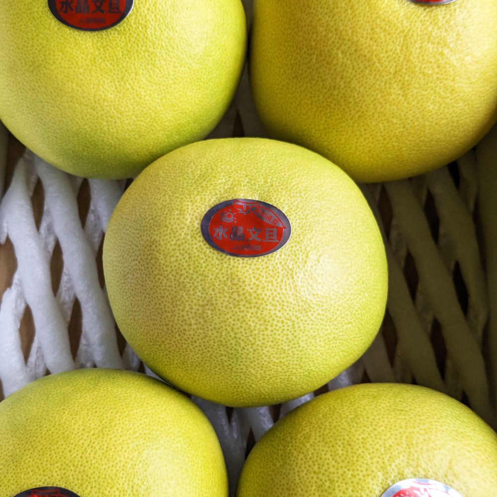 土佐市産　水晶文旦　約3キロ（５～６玉）