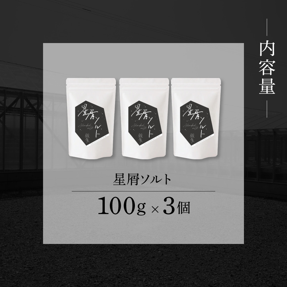 銀象ソルト Ginzo-Salt 星屑ソルト 100g×3個セット