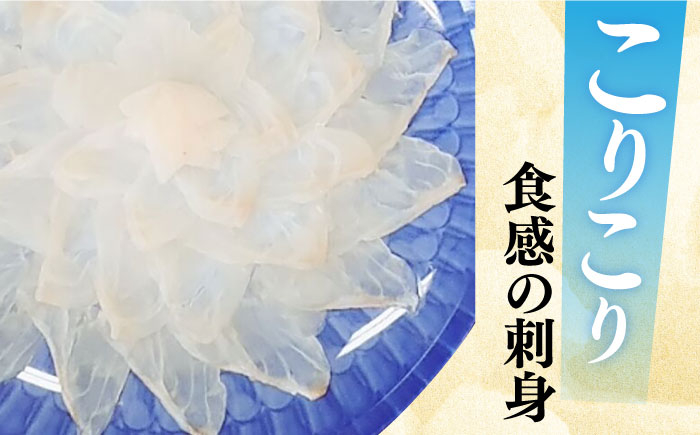 クエ アラ 鍋 刺身 長崎 