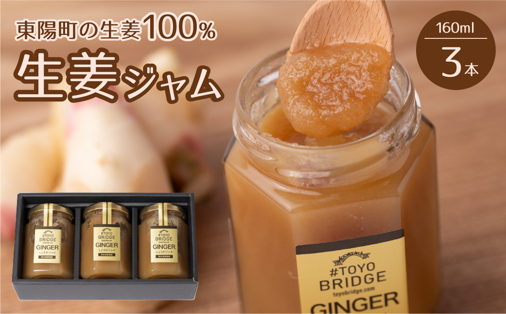 東陽町の生姜100% 生姜ジャム 3本セット 合計480ml(160ml×3本)