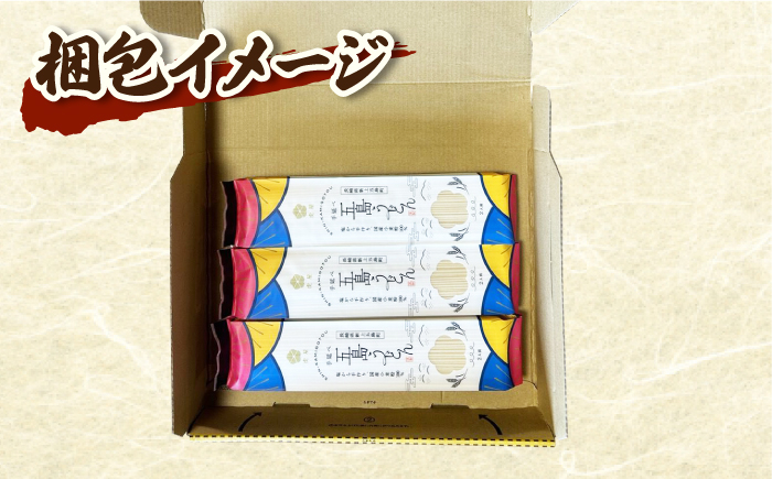 五島の自然塩で作った 五島うどん (180g×3袋) / 乾麺 名物 新上五島町