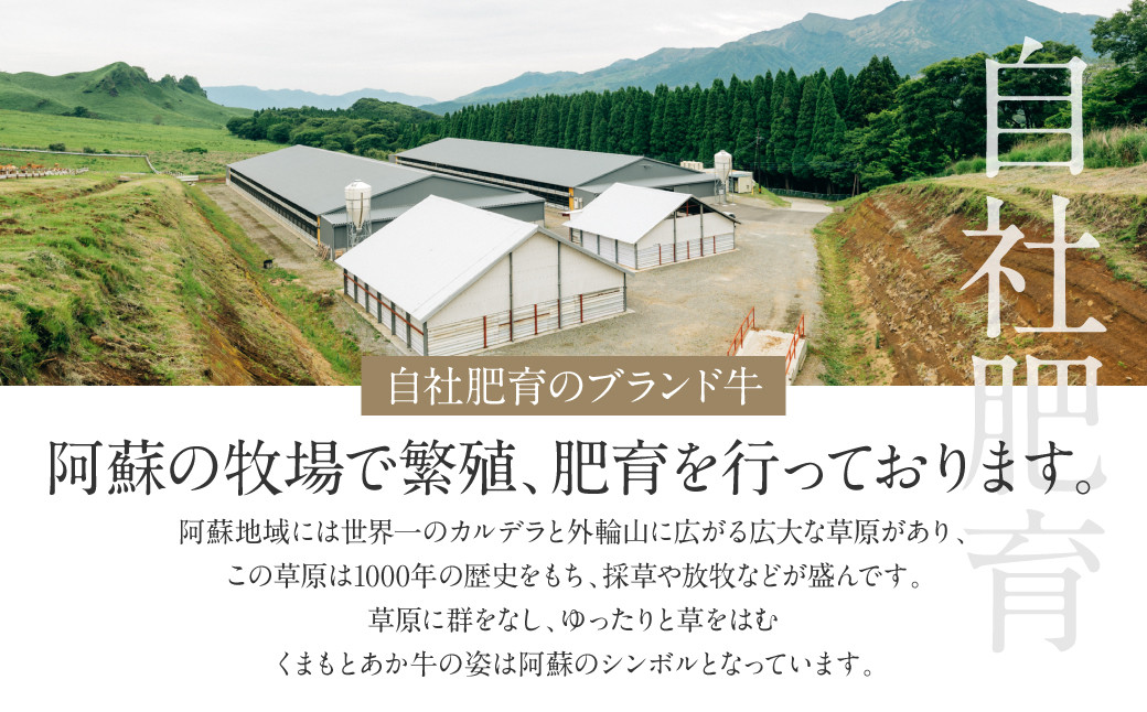 あか牛バラ切り落としセット (あか牛バラスライス500g、あか牛のたれ200ml付き)