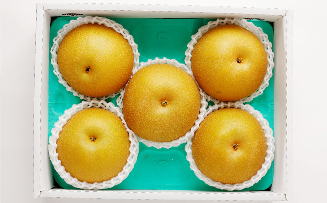 熊本県産 あきづき梨 約2kg 