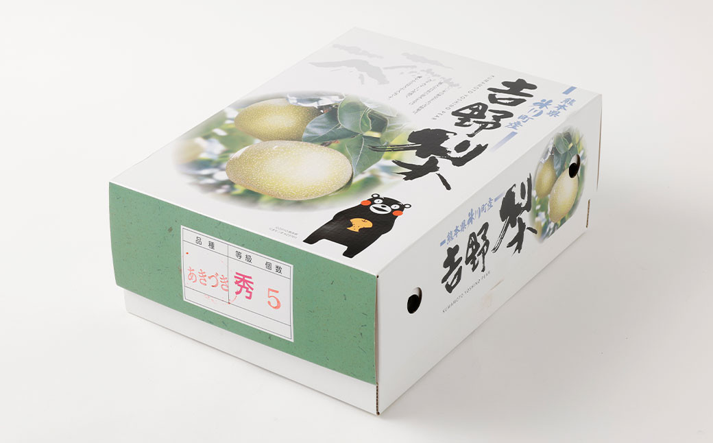 熊本県産 あきづき梨 約2kg 