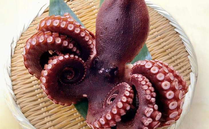 【花光】淡路島のボイルマダコ（丸ごと1匹）【冷凍】