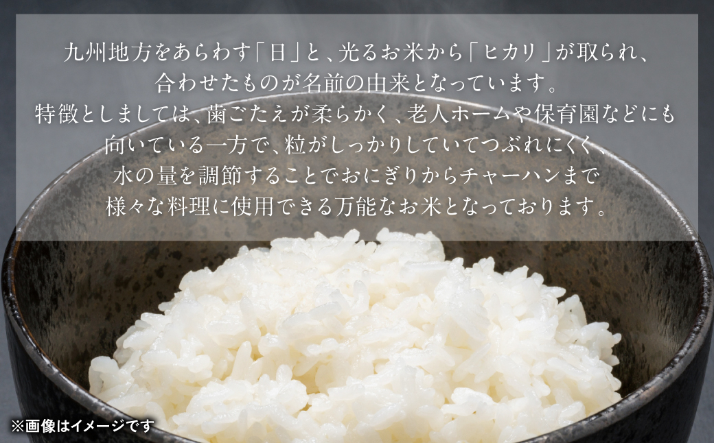 九州地方をあらわす「日」と、光るお米から「ヒカリ」が取られ、合わせたものが名前の由来となっています。