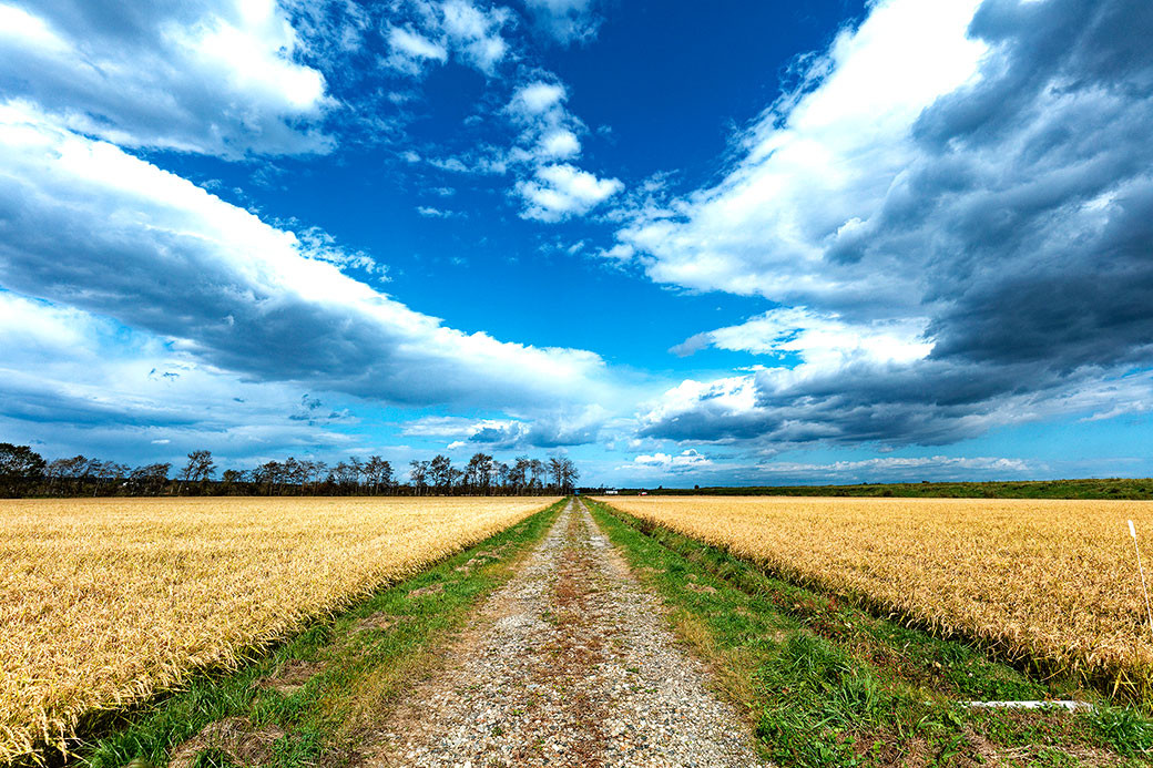 北広島市への寄附