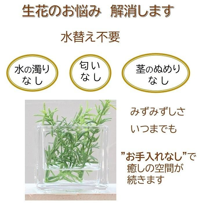 マジカルウォーター 2個セット ｢ グリーンスクエア ｣