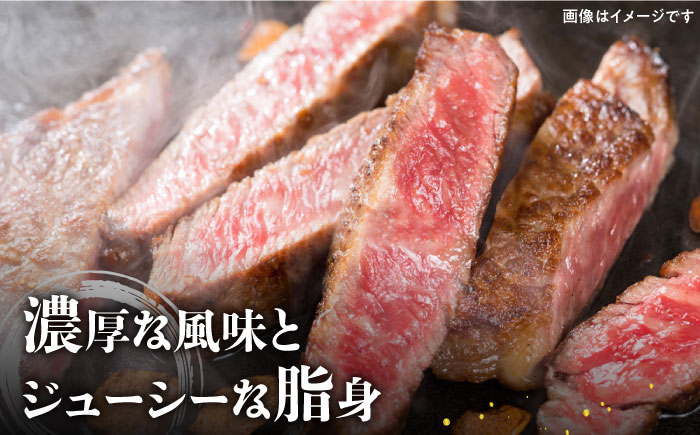 A5ランク 佐賀牛 牛肉 サーロイン ステーキ A5 佐賀牛 a5 1枚 和牛 黒毛和牛 小分け 冷凍 定期 6回 6ヶ月