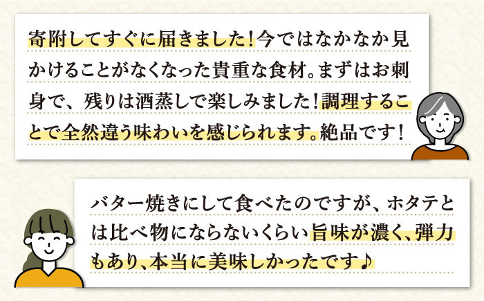 人気 うに ウニ 雲丹  新鮮 海鮮 特産品 贈り物 ギフト   魚介 ごはんの