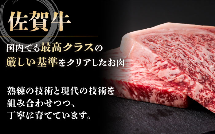 A5ランク 佐賀牛 牛肉 サーロイン ステーキ A5 佐賀牛 a5 1枚 和牛 黒毛和牛 小分け 冷凍 定期 12回 12ヶ月